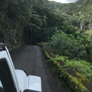 Meet your Posher, Sydney